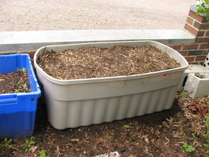 The tub is filled with a straw/soil mixture and in place in our front yard, flush with a low brick wall